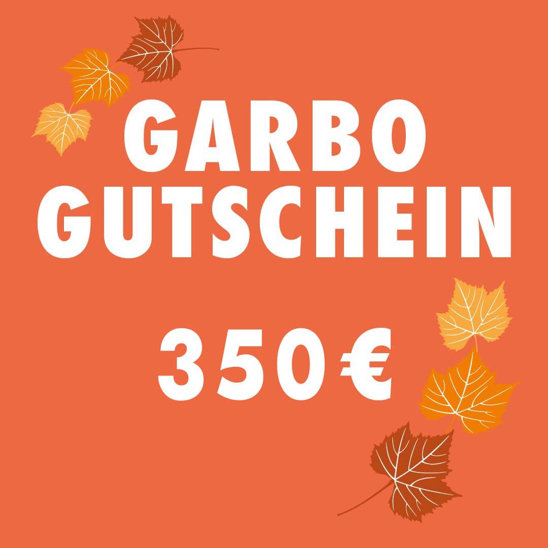 Gutschein € 350,-