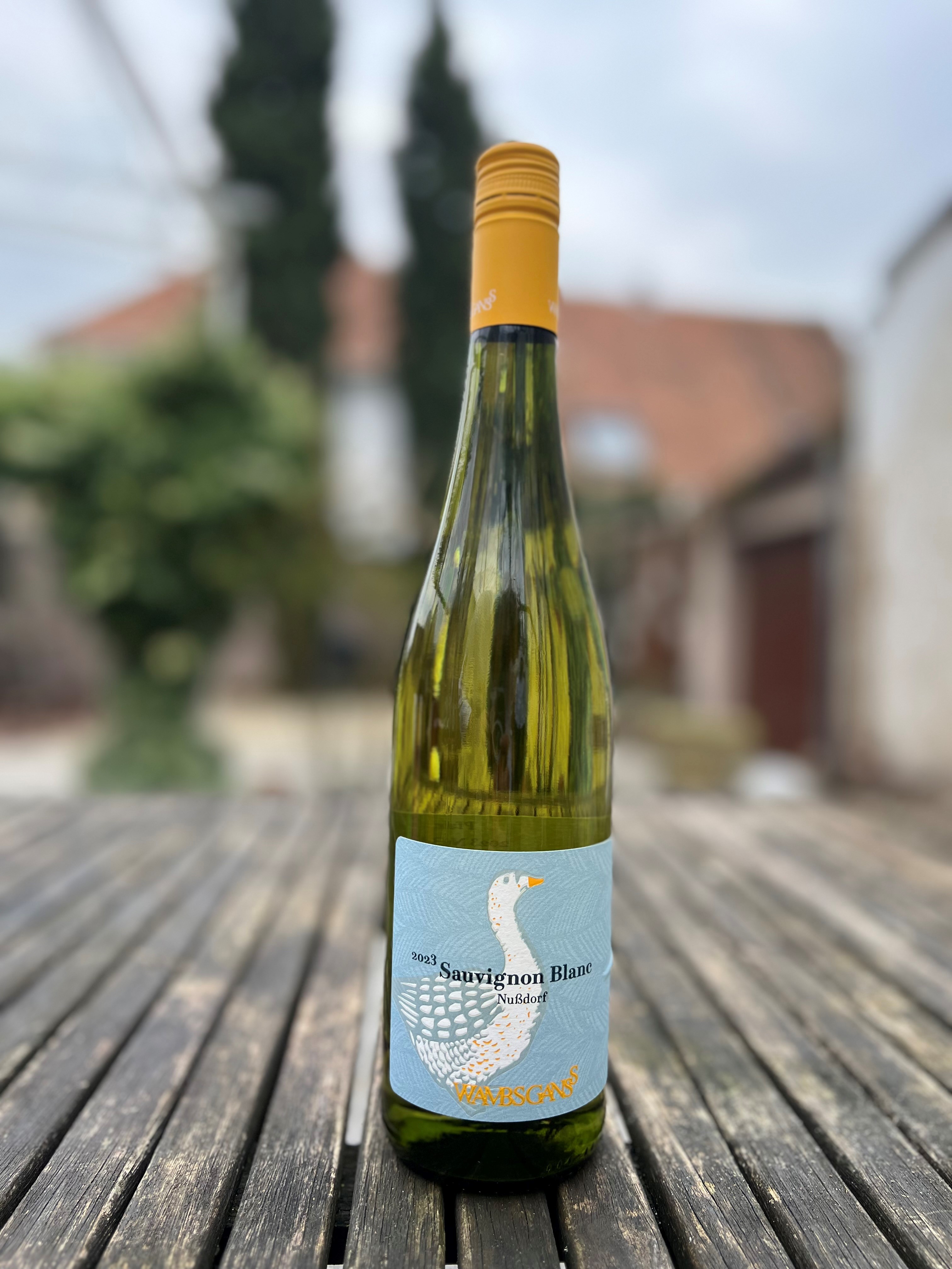 Sauvignon blanc Weingut Wambs Ganss